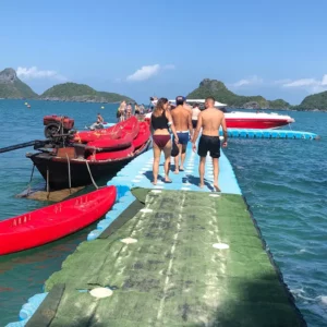 orion_news_speed_boat_service_1