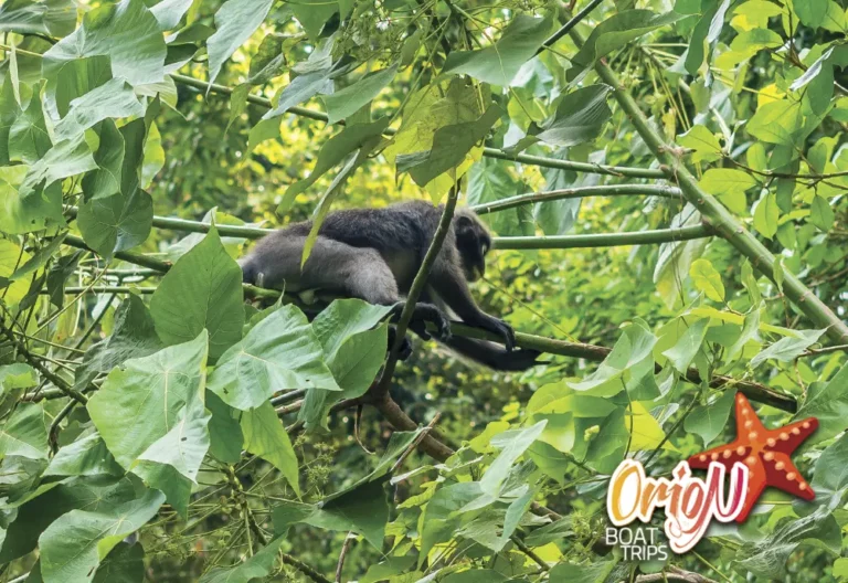 angthong marine park