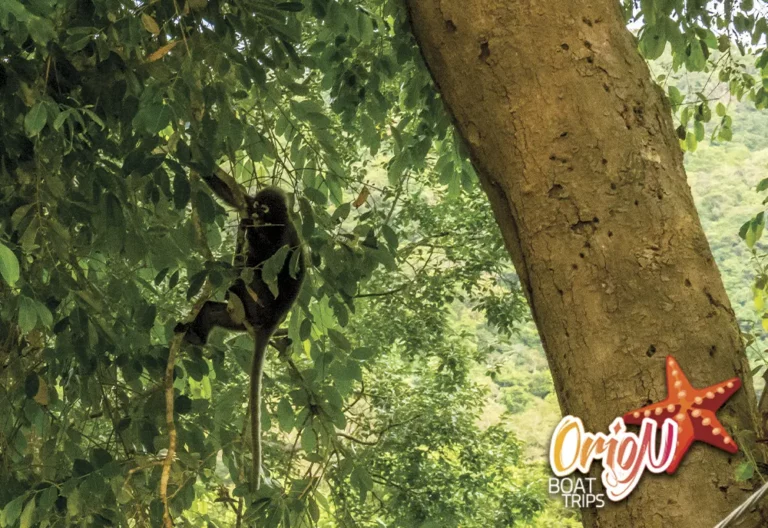 angthong marine park