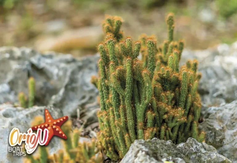 angthong marine park